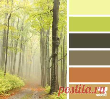 Design Seeds® | find your palette