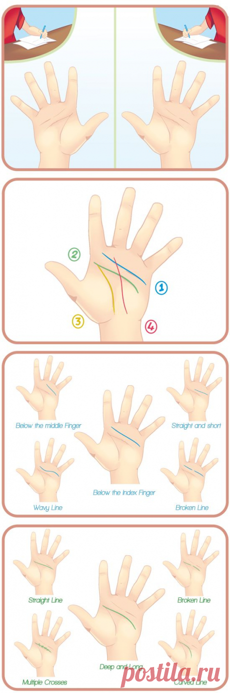 Как гадать по руке. Основы хиромантии....