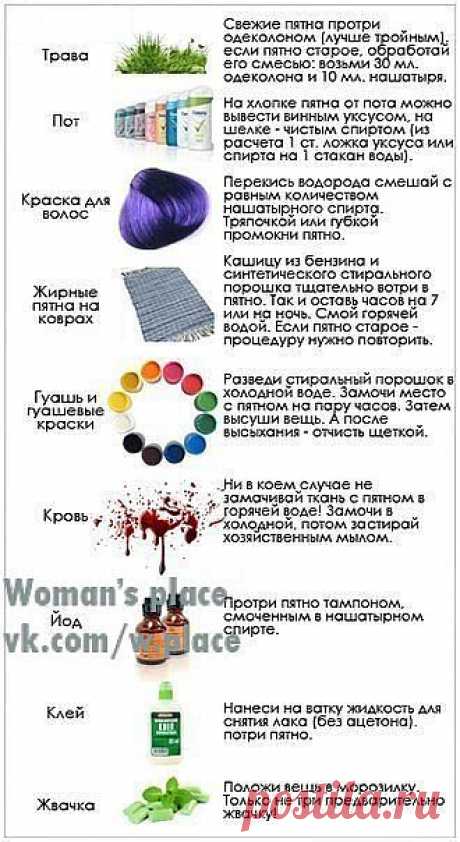 Woman's place|Прекрасная женщина, лучшая хозяйка