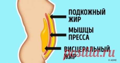 6 упражнений для плоского живота, которые можно делать прямо на стуле