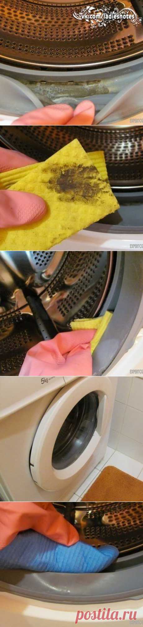 Чистка стиральной машины от плесени | Женский журнал