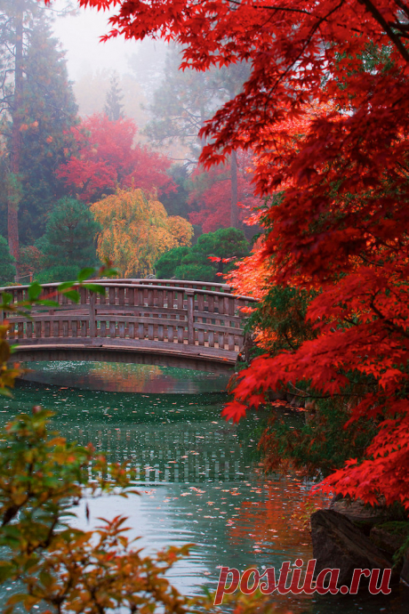 — yourlovelifeworld: Japanese Garden by Arlen...