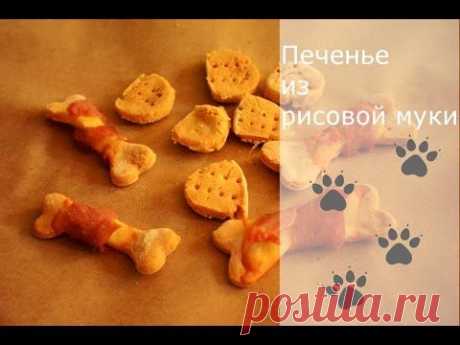 печенье для собак рецепт - 9 роликов. Поиск Mail.Ru