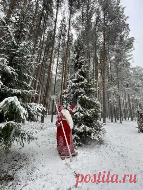 Первый снег выпал у Деда Мороза в Великом Устюге
