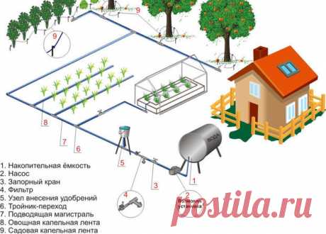 Как сделать капельный полив своими руками

Опытные садоводы знают, как важно организовать грамотную систему полива на своем участке. Большинство из них приходят к единогласному мнению, что для овощных культур, винограда и декоративных растений наиболее подходящим является капельный полив. Дачники – народ особый, творческий, находчивый и изобретательный. Практически из ничего, они могут сделать очень полезные для хозяйства вещи. И система капельного полива не стала исключен...