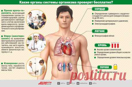 Вылечат за госсчёт. Как бесплатно пройти обследования? | Инфографика | Аргументы и Факты