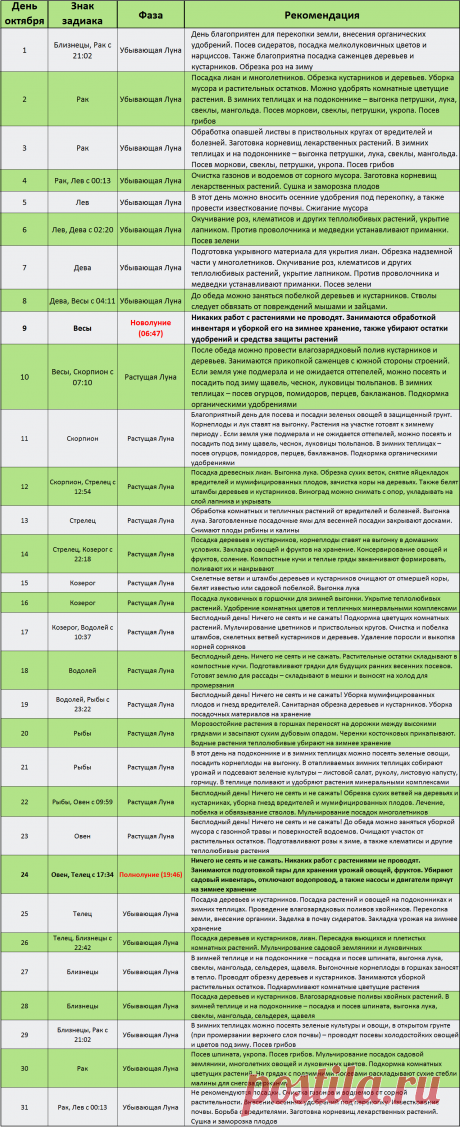 Лунный посевной календарь на октябрь 2018 года садовода и огородника