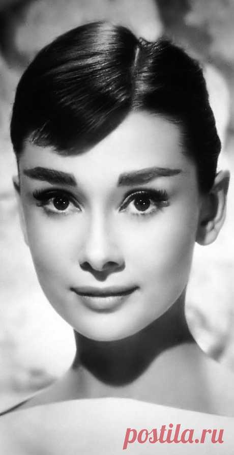 Audrey Hepburn | &lt;&gt; Audrey &lt;&gt; Hepburn &lt;&gt;