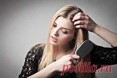 Советы по предотвращению выпадения волос . Милая Я