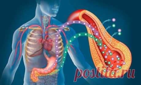 Сахарный диабет и его последствия | Спорт-Здоровье | Яндекс Дзен