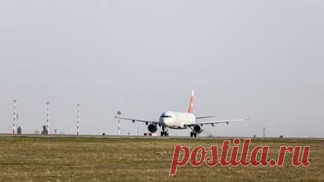 Возобновились прямые авиарейсы из Волгограда в Стамбул | Pinreg.Ru