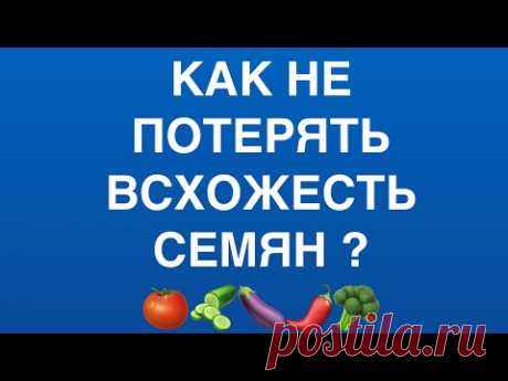 Причины потери всхожести семян при хранении! Как правильно хранить семена на рассаду