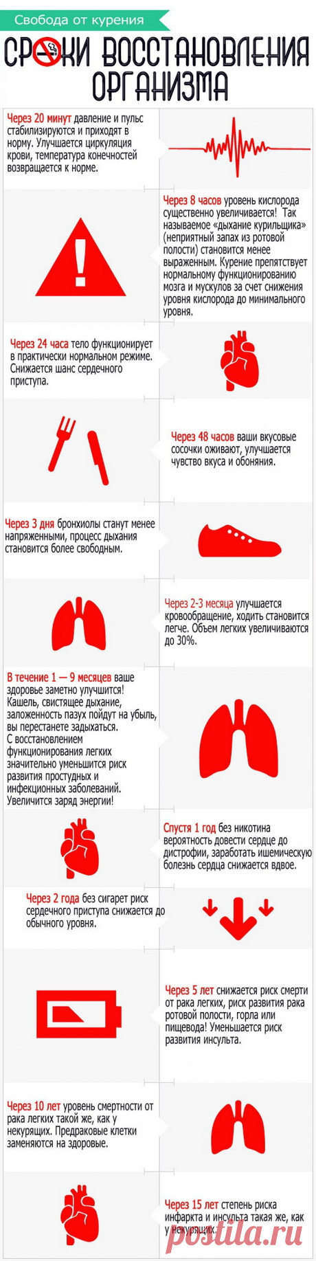 Сроки восстановления организма при отказе от курения