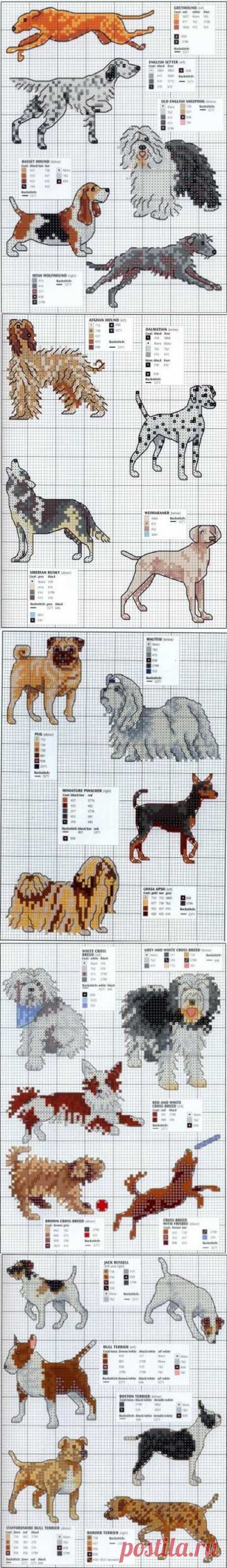 Подборка схем для вышивки собак. Схема вышивки собак | Домоводство для всей семьи