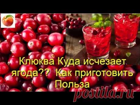 Клюква KLUKVA ягода Как приготовить Cranberry исчезает моментально  Польза огромная