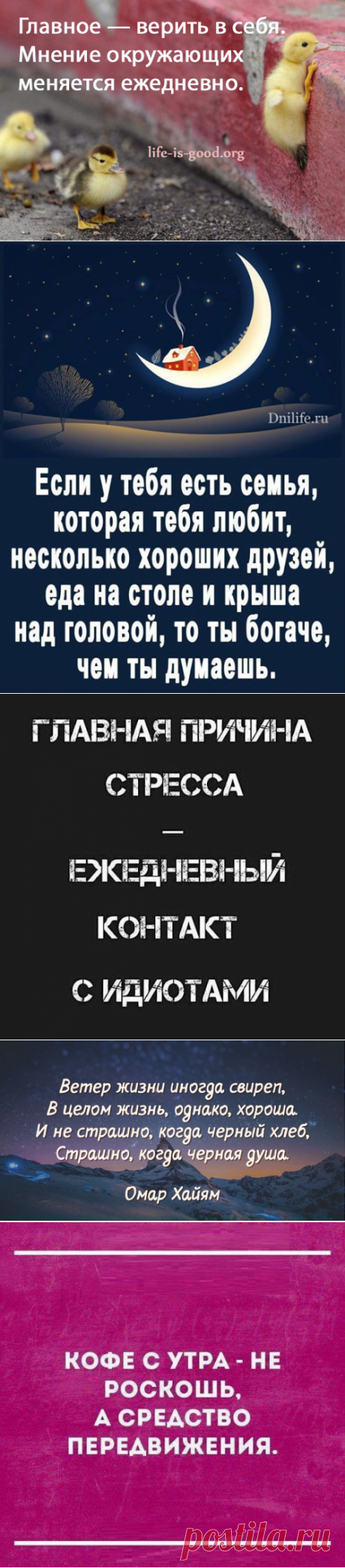 15 острых и умных высказываний, в которых кроется — вся суть!