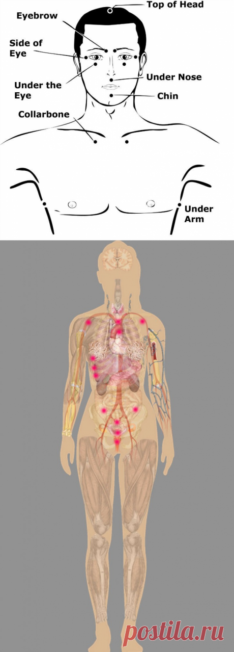 Простукивание точки «Океана Энергии» — простая техника оздоровления всего организма