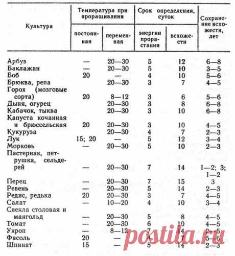 Как проверить семена на всхожесть / семена / 7dach.ru