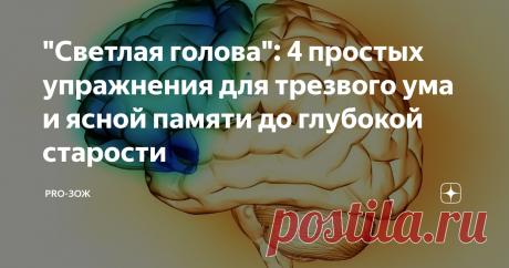 "Светлая голова": 4 простых упражнения для трезвого ума и ясной памяти до глубокой старости По статистике 50% людей старше 65 лет страдают от потери памяти в той или иной степени. А сколько заболеваний на этот счёт? Альцгеймер, склероз, деменция, страшно подумать!
Чтобы избежать этих проблем, необходимо время от времени тренировать свой мозг. Есть специальные упражнения, которые вам понравятся 😉