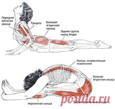 (47) Одноклассники