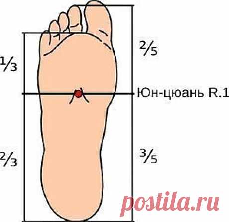 ЮН-ЦЮАНЬ — СУПЕРТОЧКА ДЛЯ ЗДОРОВЬЯ

Бессмертные дышат стопами...
Обыкновенные люди ходят, не сосредоточиваясь на том, что они делают. Их мысли витают где-то далеко за пределами тела, поэтому сознание, дух и энергия находятся в разладе.

Старинная даосская поговорка гласит: "Пройди после еды сотню шагов - и доживешь до ста лет".
Древние китайцы сравнивали ноги человека с корнями дерева.
И, как здоровому дереву нужна здоровая и сильная корневая система, так и ноги, дающие оп...