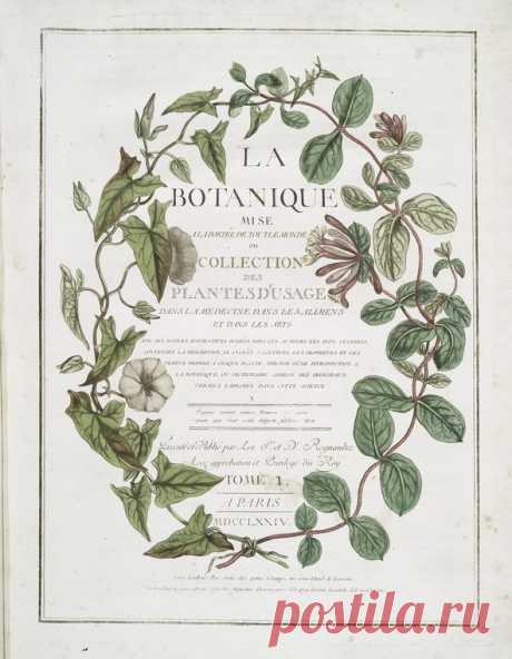 La botanique mise à la porteé de tout le monde ... [Tome I. Title page]. - NYPL Digital Collections