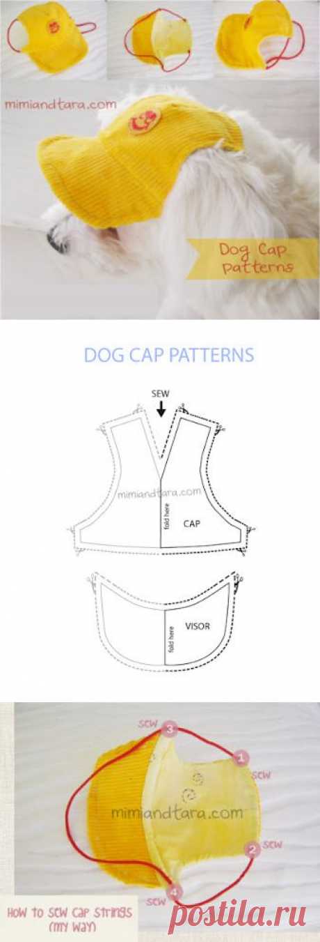 Собака кепка модели | Мими и Тара | Бесплатный Одежда для собак Модели