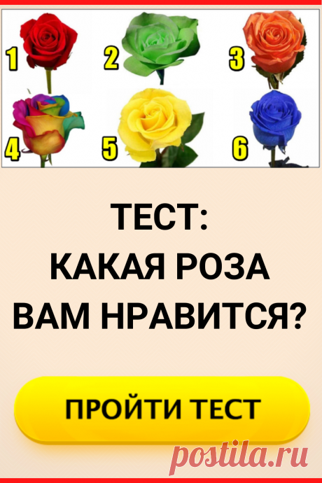 Тест: какая роза вам нравится?
#тест #интересные_тесты #тесты_личности #викторина #психология #психология_развития #личностное_развитие #загадки #головоломки #интересный_тест #самопознание #саморазвитие #психологический_тест