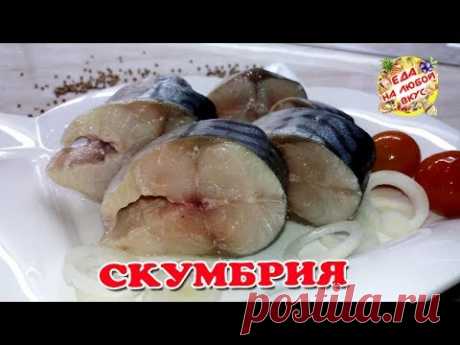 СКУМБРИЯ Маринованная. Вкусно - пальчики оближешь! - YouTube