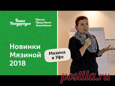 Новинки томатов Мязиной 2018 года