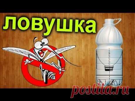 Как сделать РАПТОР (ловушку) для комаров своими руками / How to make a trap for mosquitoes “Raptor”