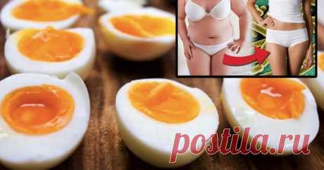 Диета из вареных яиц позволяет сбрасывать по 5 кг в неделю! | WebVinegret
