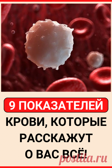 9 показателей крови, которые расскажут о вас всё!
#здоровье #анализ #кровь #анализ_крови #гемоглобин #эритроциты #лейкоциты #тромбоциты #соэ