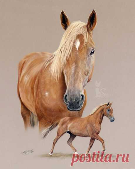 Рисунки и портреты лошадей Кати Зауэр