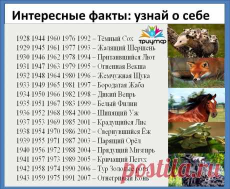 Выберите дату своего рождения:узнайте о себе больше.
Древнеславянский календарь.