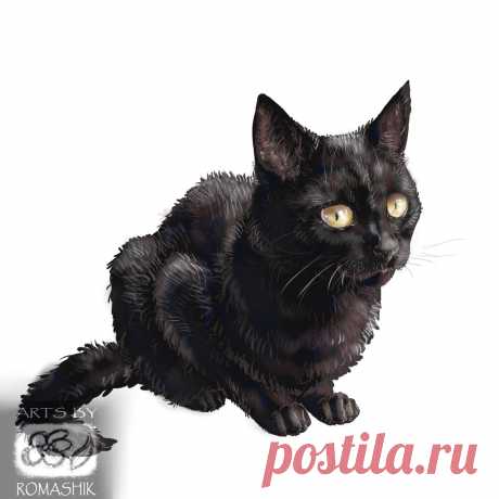 Black cat Black. Gift by Romashik-arts on DeviantArt