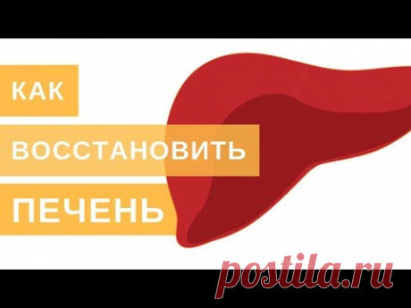 Как восстановить печень? Посмотрите обязательно!