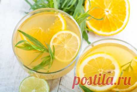 5 лимонадов для знойного лета, рецепт приготовления - Портал «Домашний»