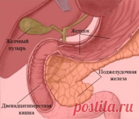 Наше здоровье Будьте здоровы вместе с нами