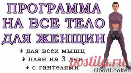 Программа тренировок на все тело для девушек с гантелями