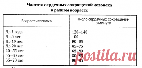 Пульс человека: каким должно быть нормальное и допустимое сердцебиение, как измеряется частота ударов