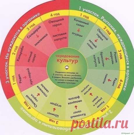 Севооборот. Чередование овощей на грядках — Садоводка