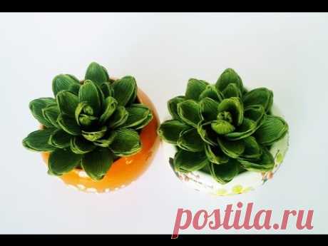 How To Make Succulent From Crepe Paper - Craft Tutorial