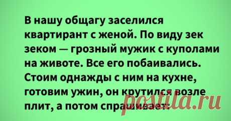 Теплые истории о жизни и очень хороших соседях