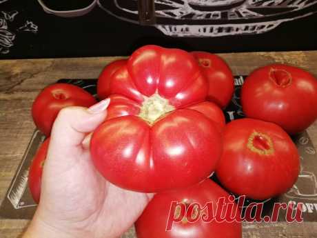 Торговка овощами с рынка научила хранить помидоры в свежем виде несколько месяцев | Кулинарный техникум | Яндекс Дзен