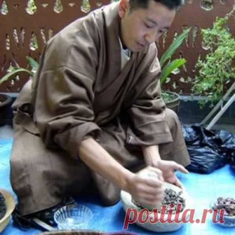 Очищение организма и питание в тибетской медицине