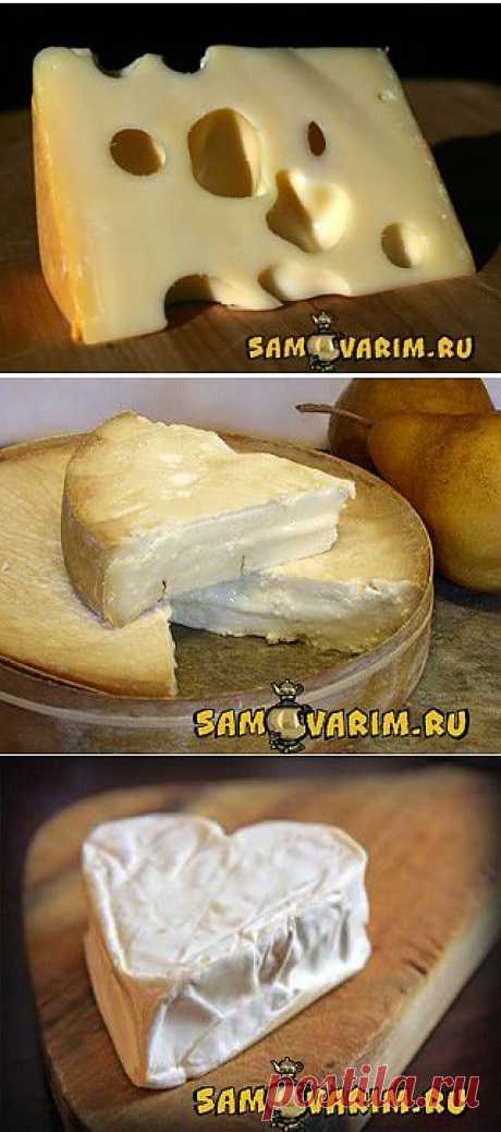 - Сыр (L'fromages) - Сорта. Виды. Употребление