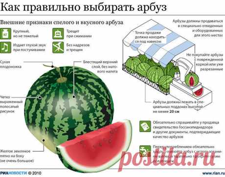 Как выбрать арбуз