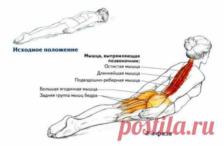 Всего одно упражнение для королевской осанки — Полезные советы