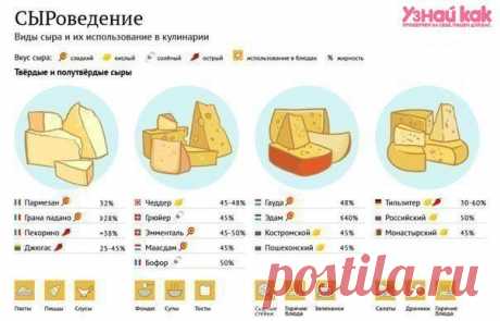 (+1) тема - Использование сыров | Полезные советы